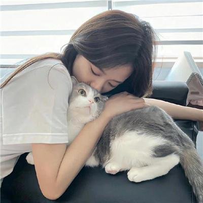 搞上大明星第三季